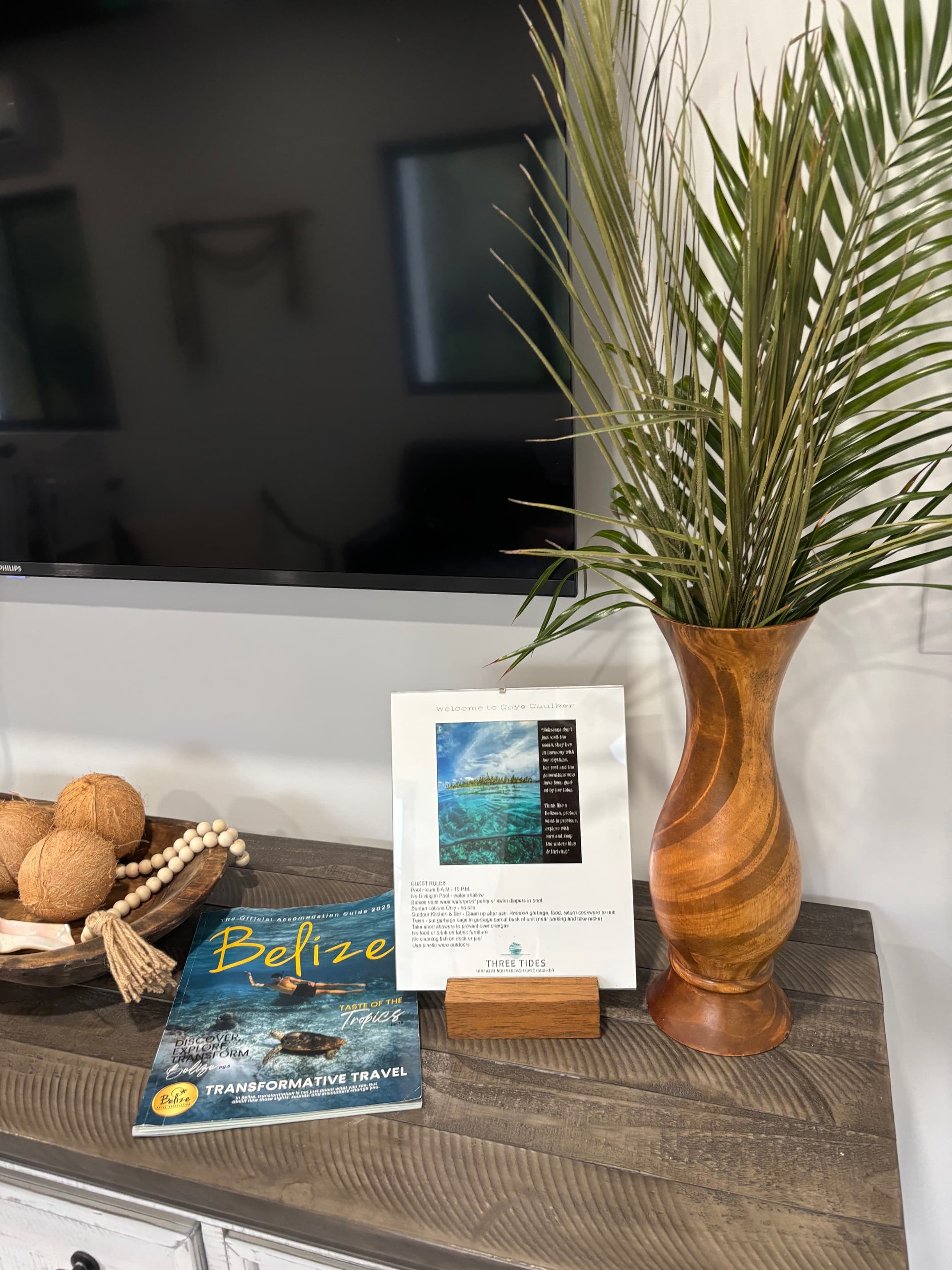 inside decor, TV and tropical picture