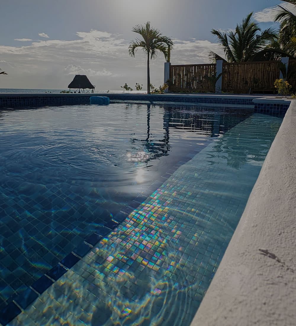 A tranquil swimming pool reflects sunlight with palm trees in the background.