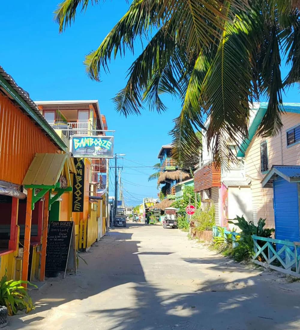 A colorful street lined with shops and palm trees under a clear blue sky.
