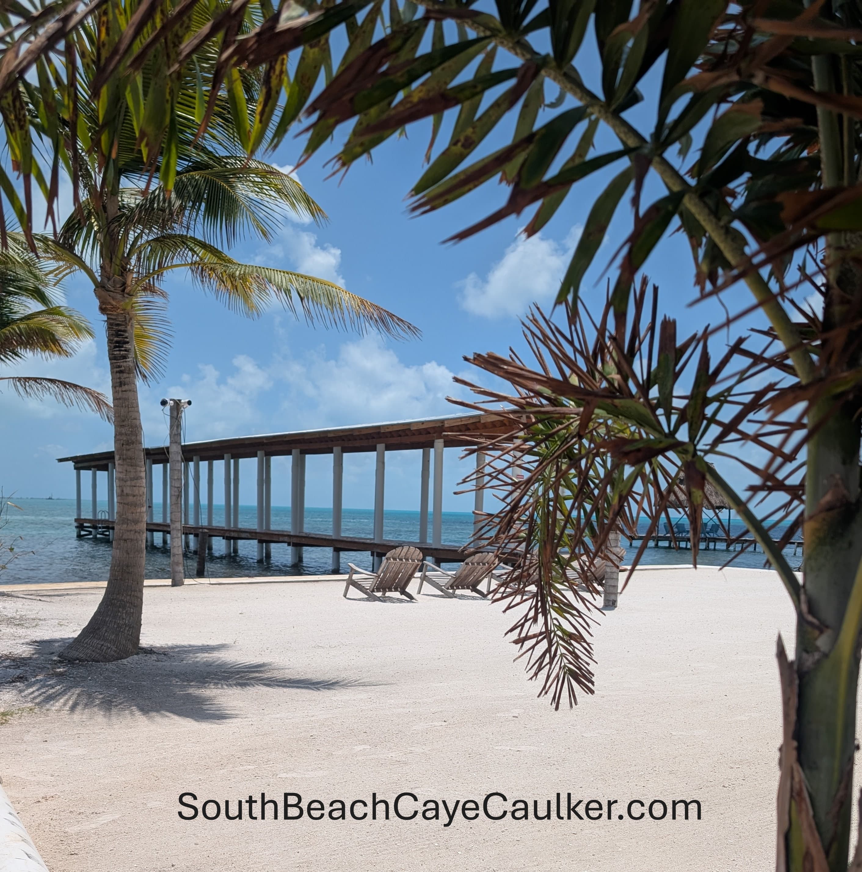 A sandy beach view featuring palm trees and a wooden pier extending into clear blue water.
