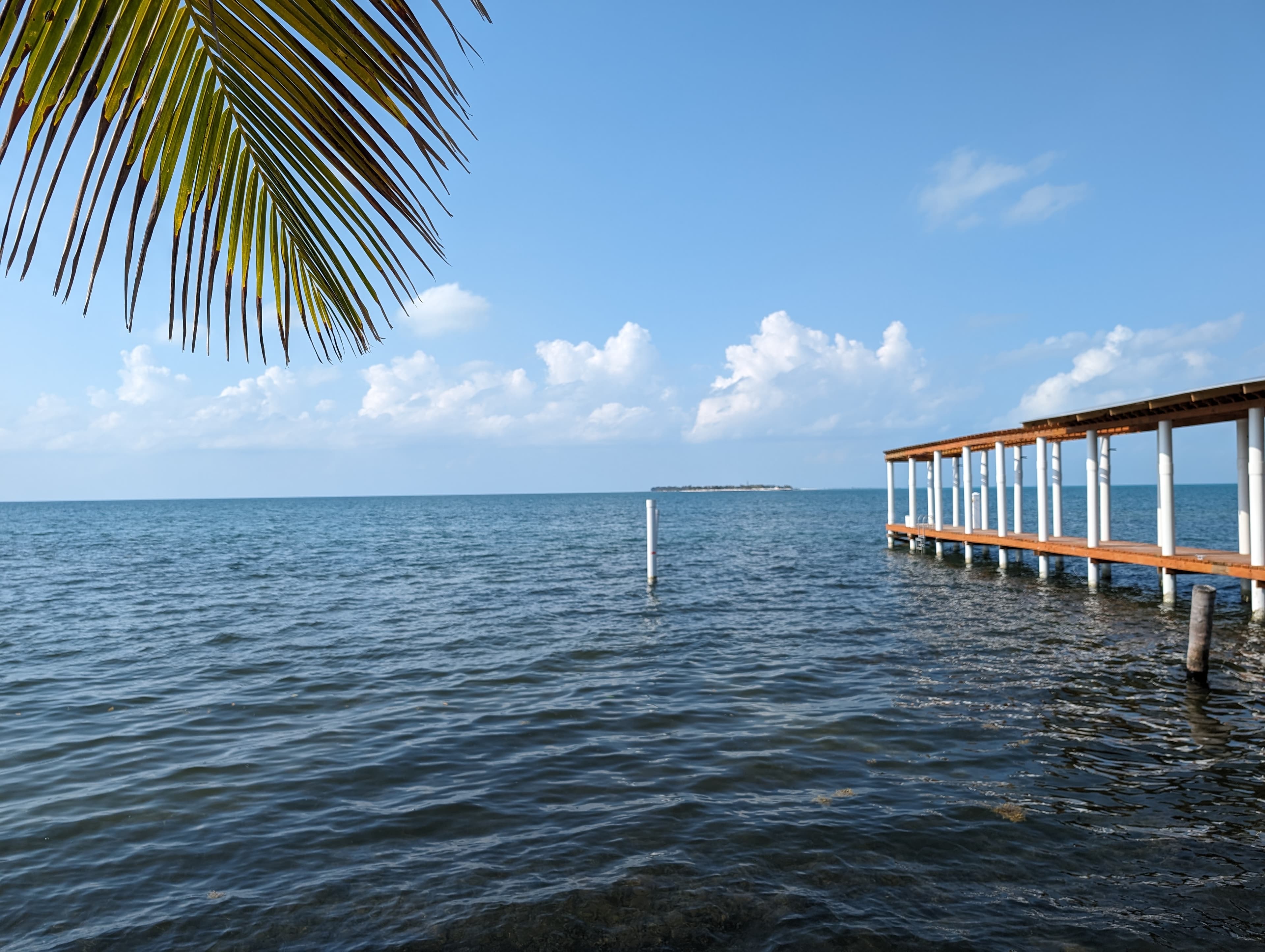 View from the beach, palm trees, beach, caribbean
