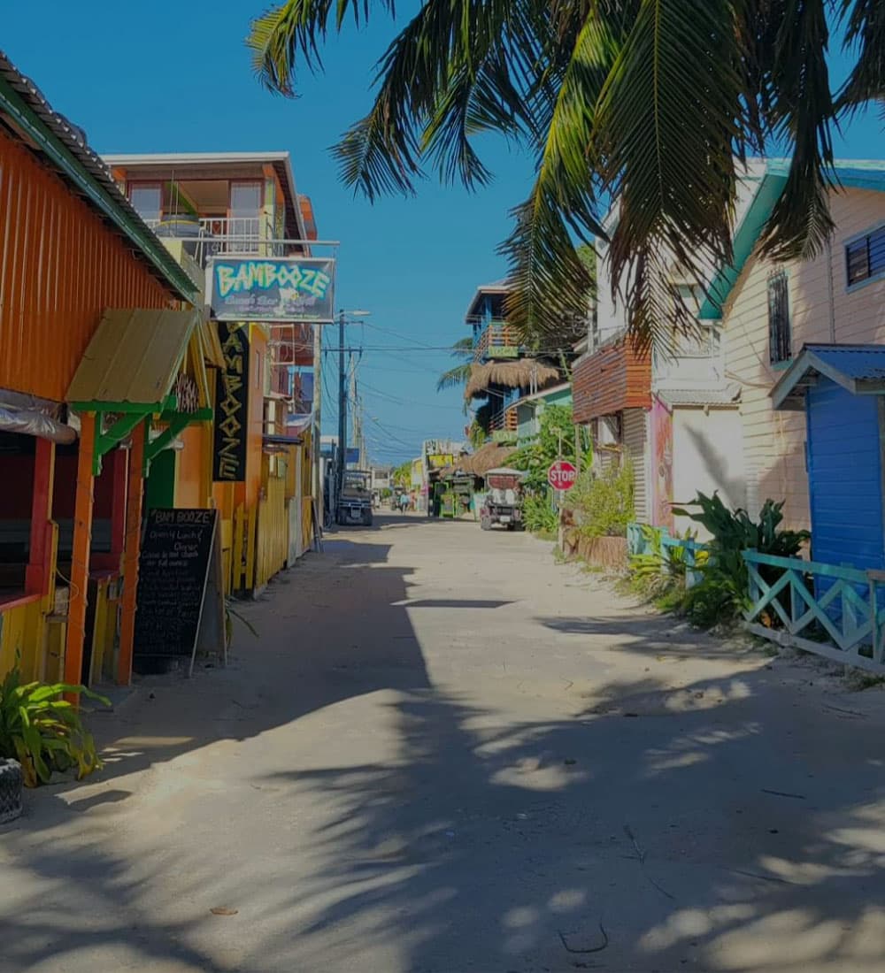 A colorful street with palm trees and shops under a clear blue sky.